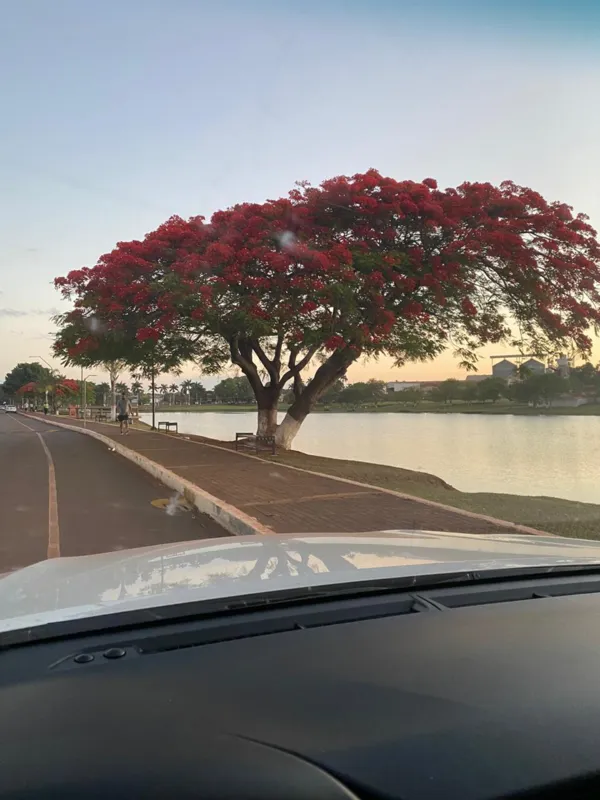 Imagem ilustrativa da imagem #A CIDADE FALA - Beira Lago