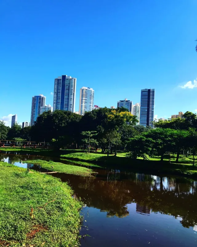 Imagem ilustrativa da imagem A CIDADE FALA - Céu Azul