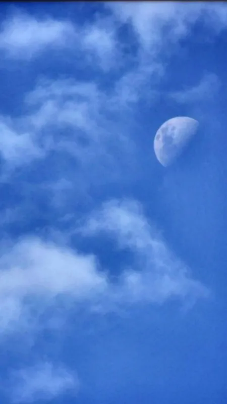 Imagem ilustrativa da imagem A CIDADE FALA - Hora da Lua