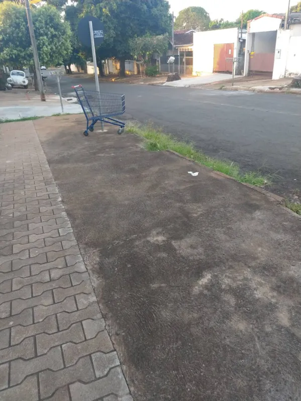 Imagem ilustrativa da imagem A CIDADE FALA| Carrinhos perdidos