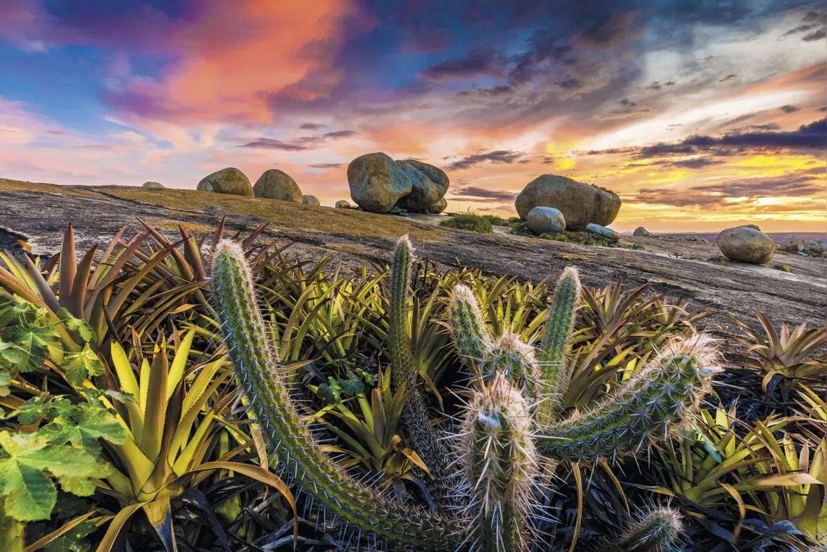 Caatinga de Lajeado de Pai Mateus, em Cabeceiras, Paraíba