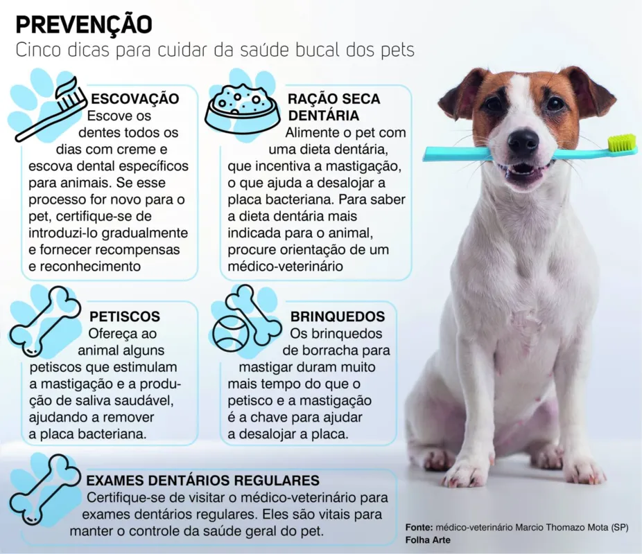 Imagem ilustrativa da imagem A saúde do pet começa pela boca