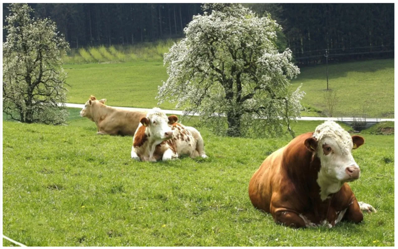 Imagem ilustrativa da imagem Agronegócio se impulsiona na bolsa de valores e setor de agrotechs em Londrina avança