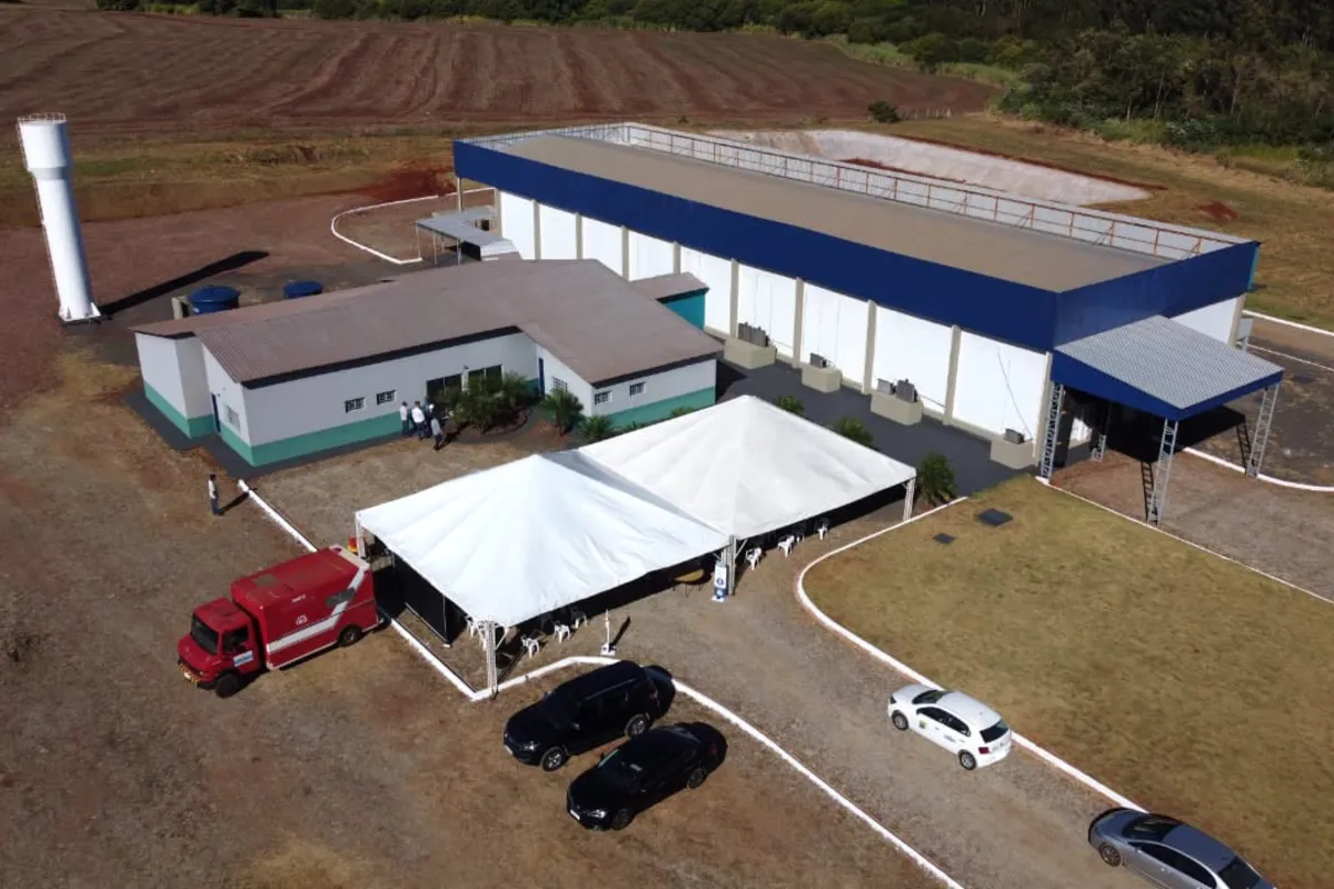 Imagem ilustrativa da imagem Alvorada do Sul quer protagonismo no mercado de peixes