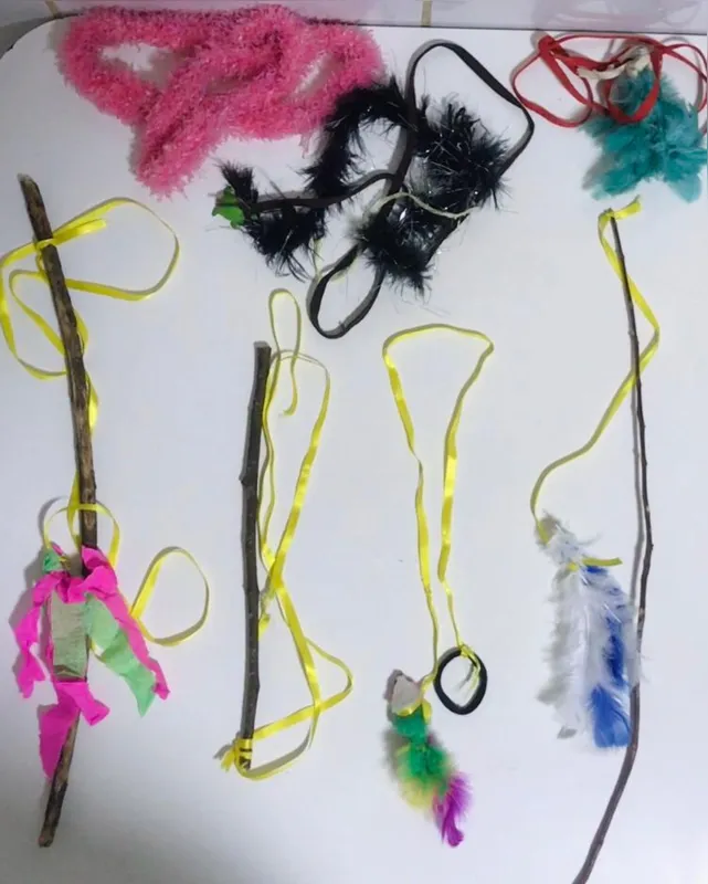 Imagem ilustrativa da imagem Aprenda a fazer brinquedos fáceis e baratos para o seu pet