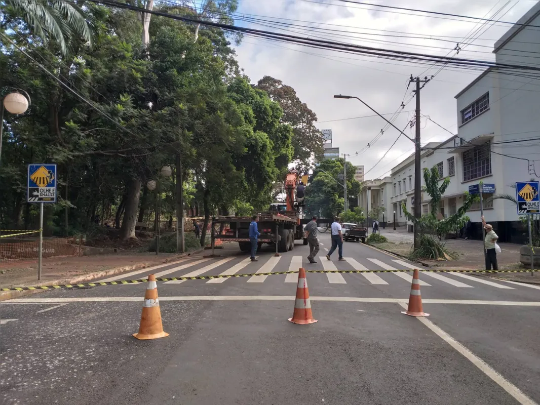 Imagem ilustrativa da imagem Avenida Rio de Janeiro é interditada para poda de árvores