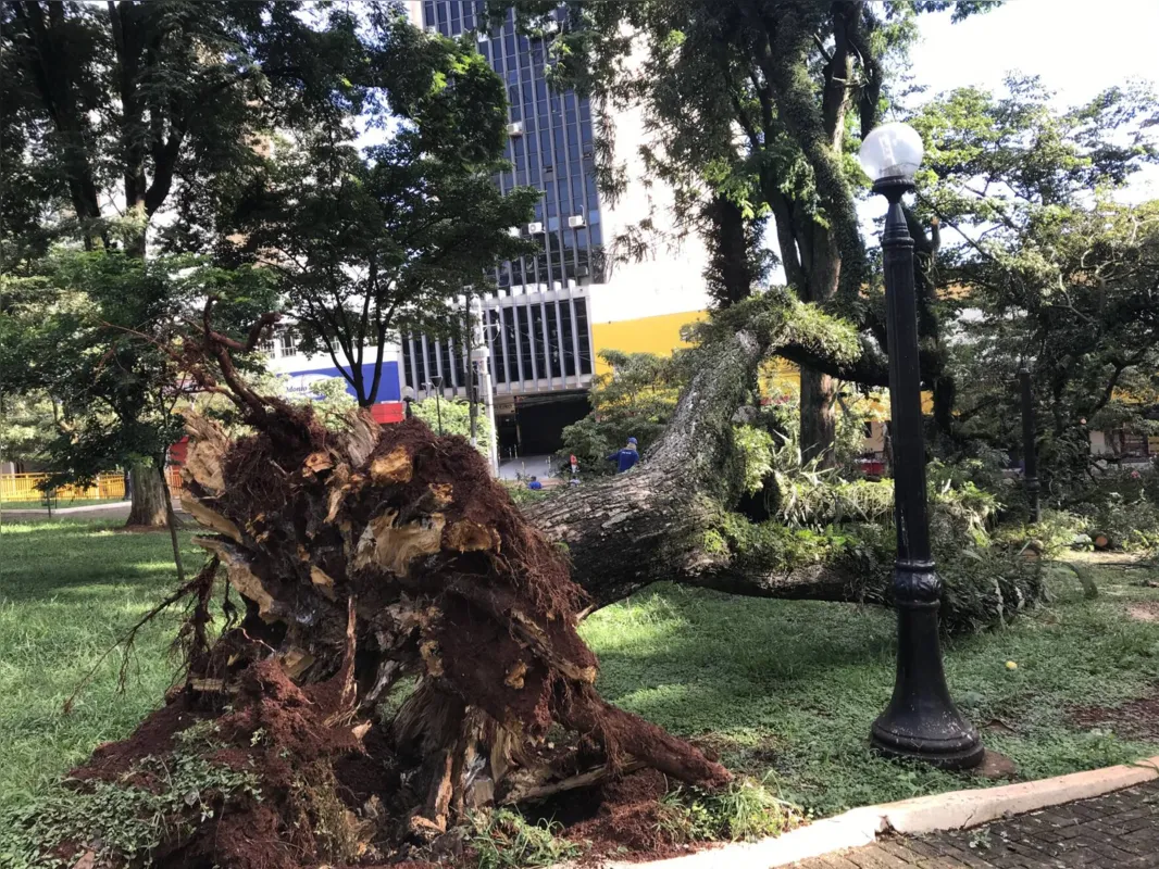 Imagem ilustrativa da imagem Casas e ruas são tomadas pela lama após temporal em Londrina