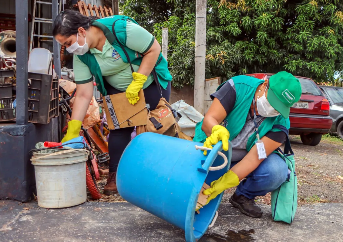 Imagem ilustrativa da imagem Casos de chikungunya em Apucarana colocam Saúde em alerta