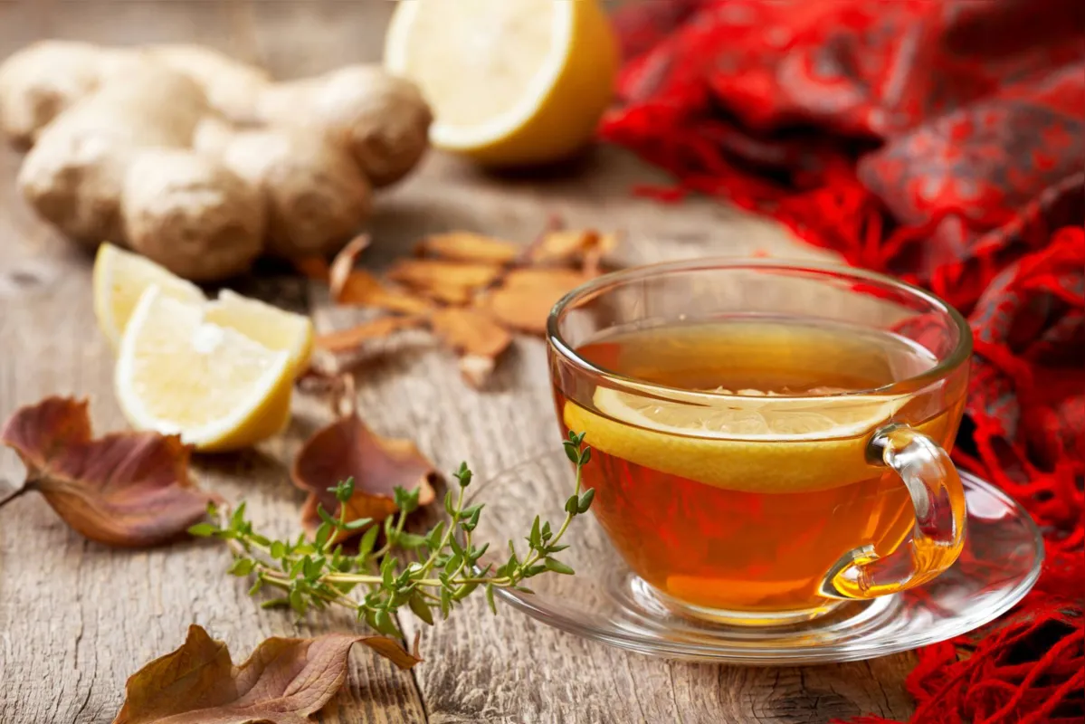Da camomila ao hibisco são muitos sabores e serem combinados com canela ou cascas de frutas