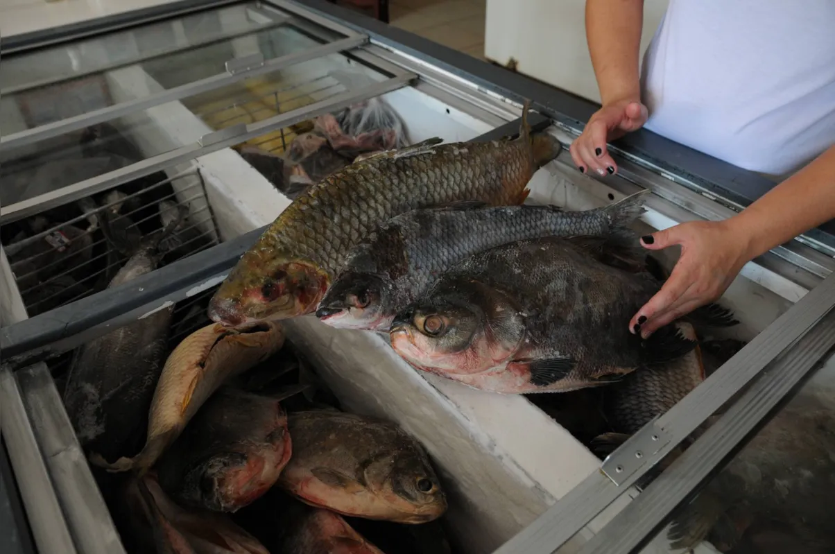 Com os preços lá em cima, produtos tradicionais da Páscoa vão ser substituídos, no lugar do bacalhau, por exemplo, consumidores estão preferindo peixes mais populares, como a cavalinha, a sardinha e o filé de merluza