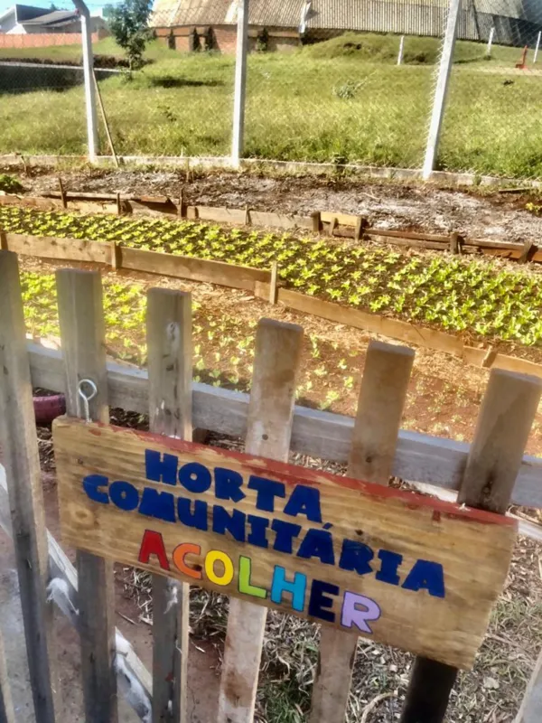 Imagem ilustrativa da imagem Cultivo em horta comunitária é terapia para pacientes de UBS de Apucarana