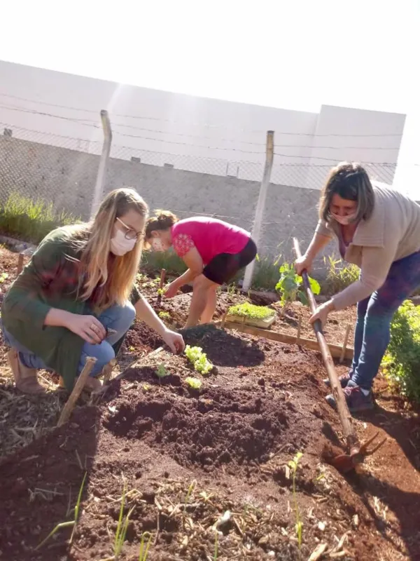 Imagem ilustrativa da imagem Cultivo em horta comunitária é terapia para pacientes de UBS de Apucarana