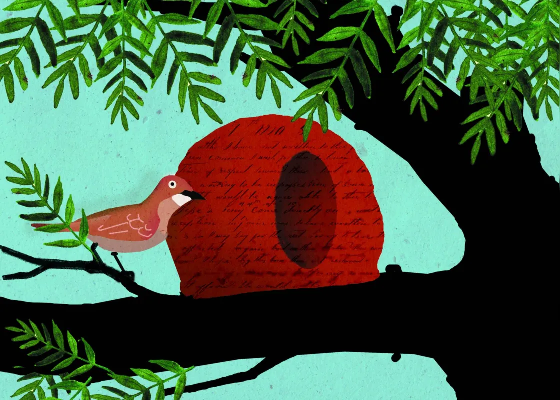 Imagem ilustrativa da imagem DEDO DE PROSA - Em defesa do João de Barro