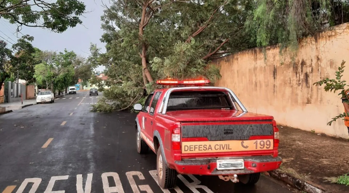 Imagem ilustrativa da imagem Defesa Civil registra mais de 20 ocorrências em Londrina