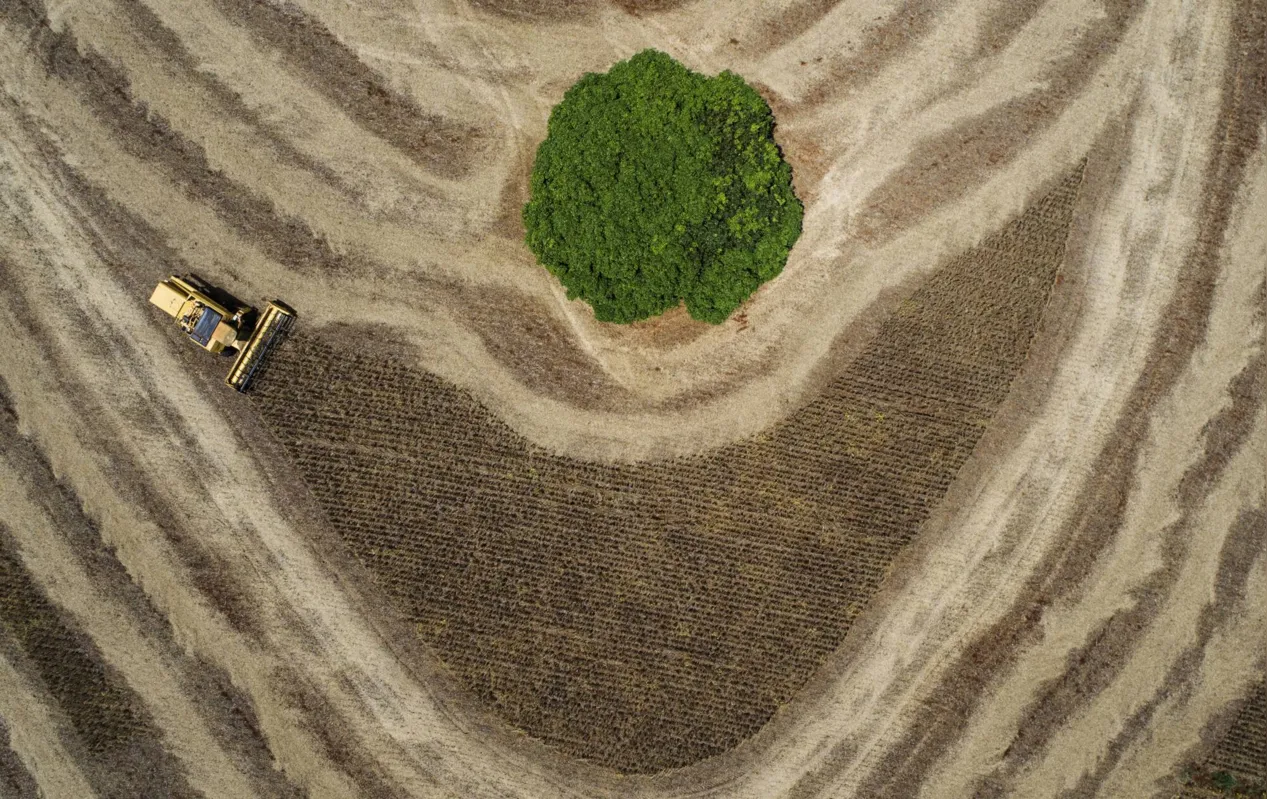 Imagem ilustrativa da imagem Fotógrafo da FOLHA ganha prêmio que retrata a agricultura