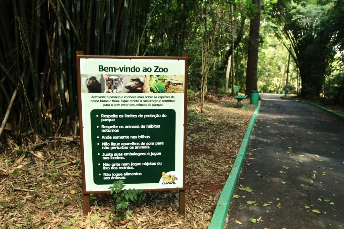 Imagem ilustrativa da imagem Hospital de Cascavel empresta aparelhos de zoológico para tratar pacientes com Covid-19