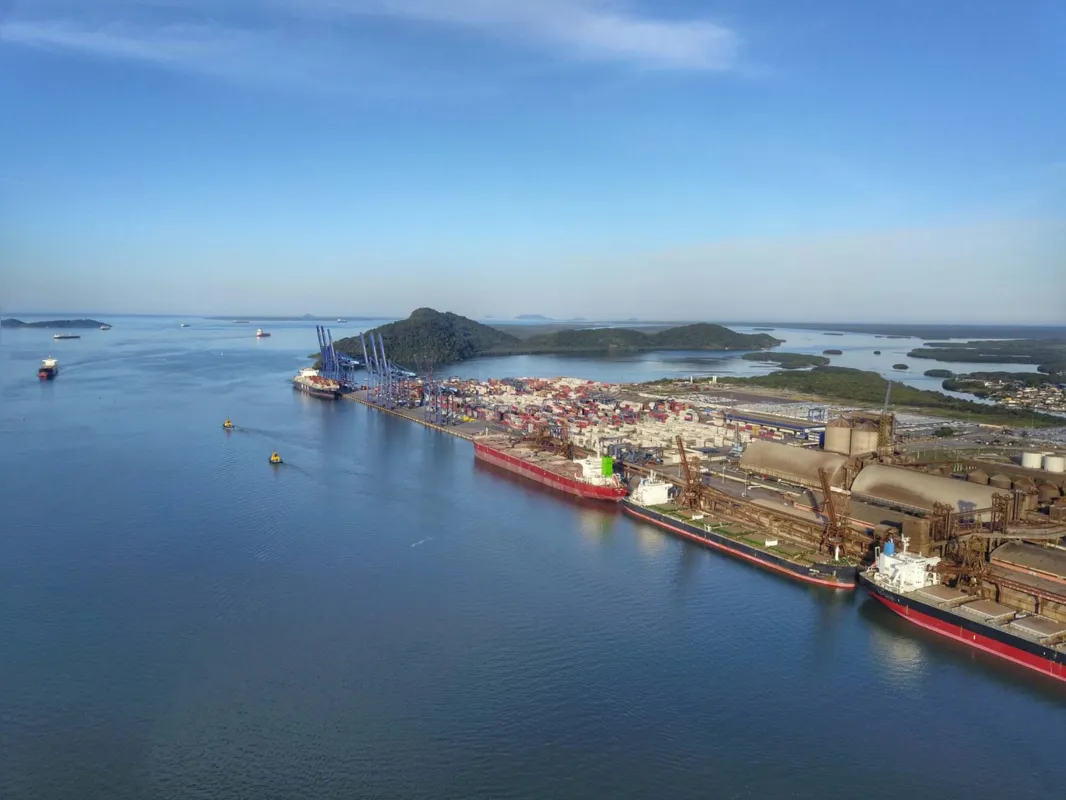 Imagem ilustrativa da imagem Ibama exonera chefe que fiscalizou 100% da madeira nativa em Paranaguá