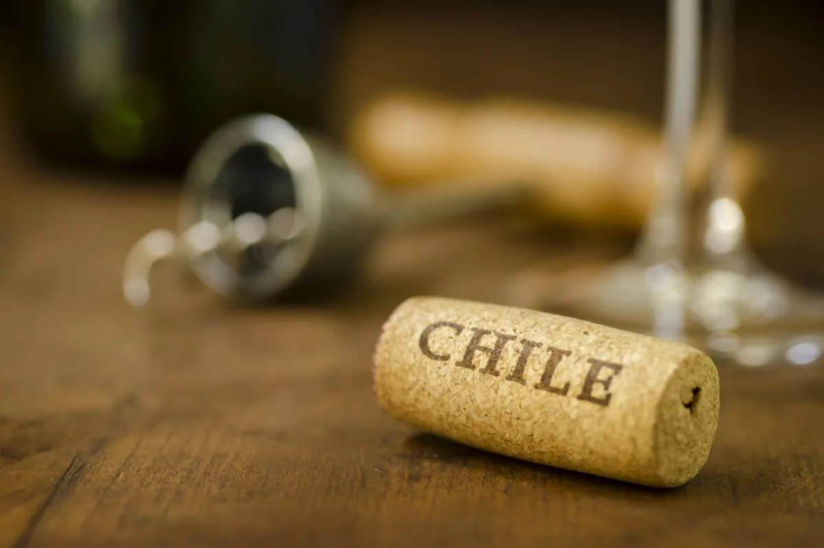 "A wine cork from Chile with a wine glass, corkscrew and wine bottle in the background.Similar Image:"