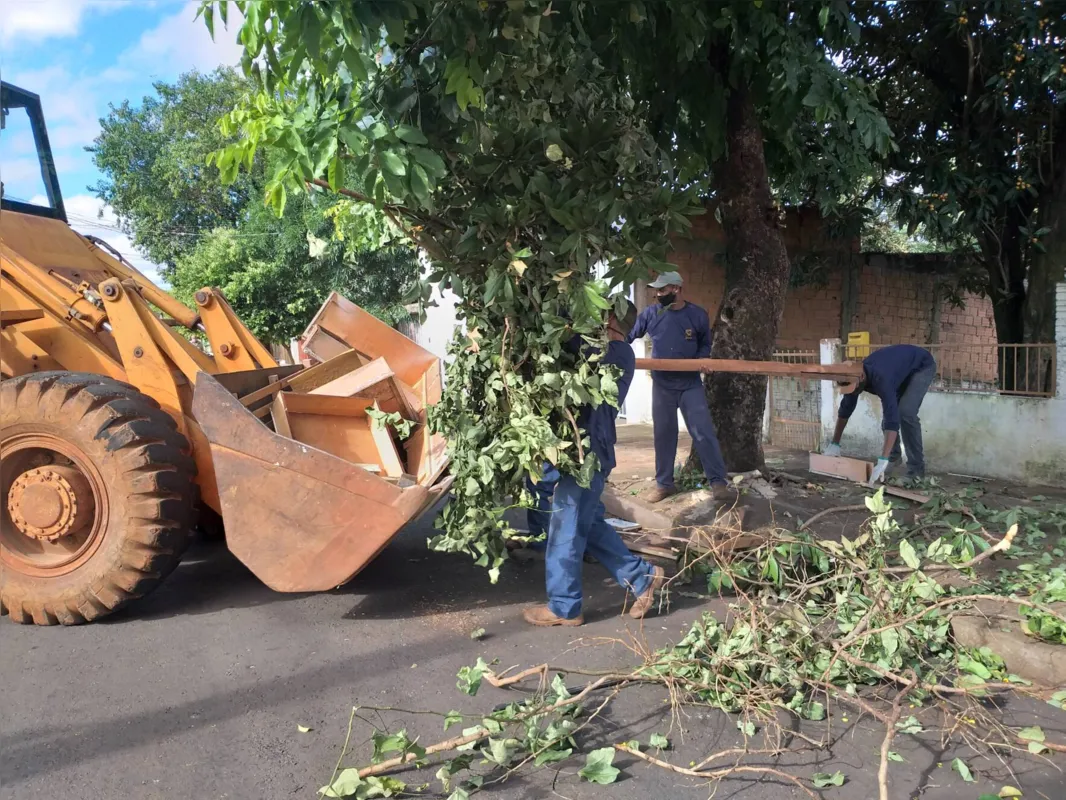 Mutirão de limpeza para eliminar focos está sendo realizado na zona leste