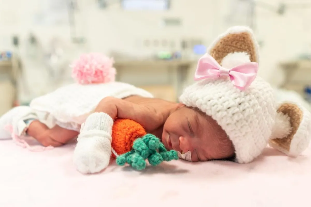 Imagem ilustrativa da imagem Maternidade e Unidade Neonatal fazem ensaio de bebês com o tema Páscoa