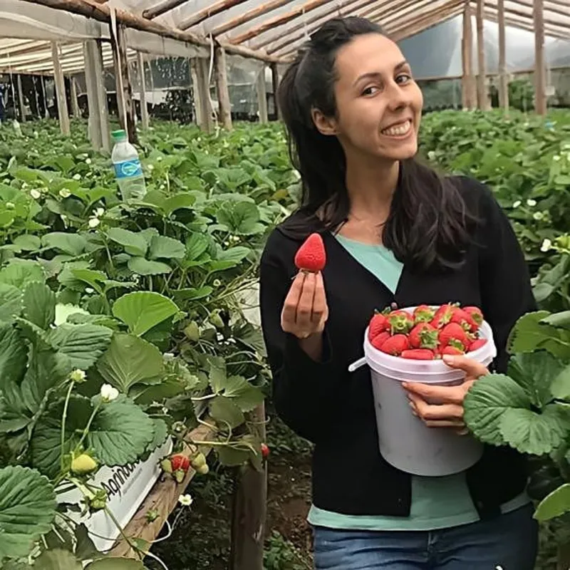Daniele Nascimento, engenheira agrônoma,  trabalha com morangos desde 2017