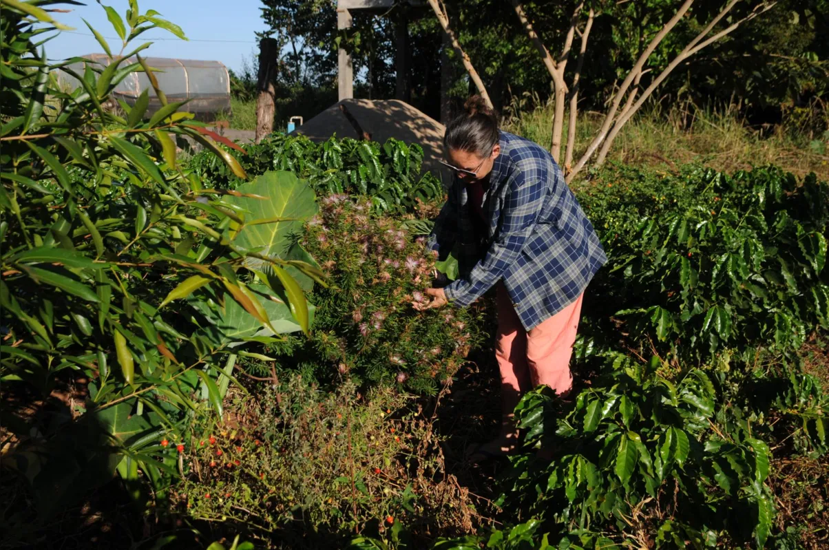 As mulheres do Eli Vive aprenderam novas técnicas de cultivo da terra e dos alimentos, visando uma produção agroecológica