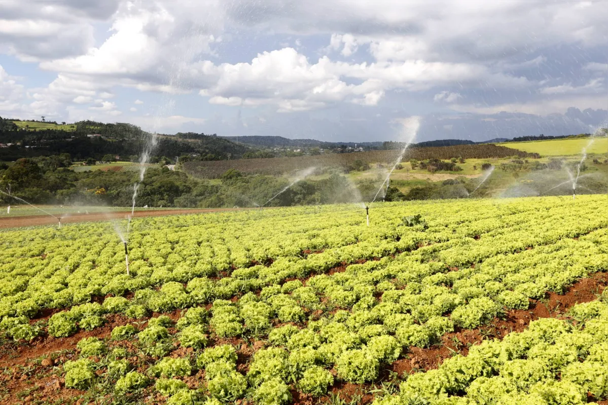 Imagem ilustrativa da imagem No lançamento, Banco do Agricultor Paranaense formaliza primeiros financiamentos