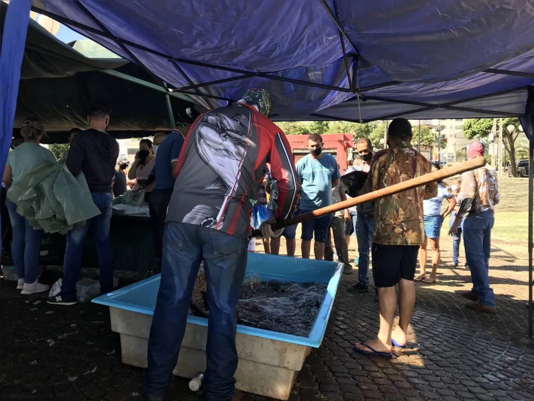 Escolher o peixe vivo, fresquinho é um diferencial para os consumidores