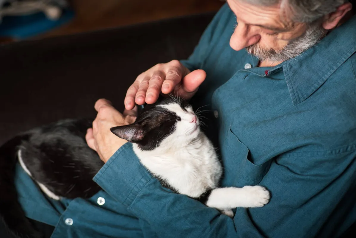 Imagem ilustrativa da imagem Pets e os idosos: quais os benefícios dessa interação