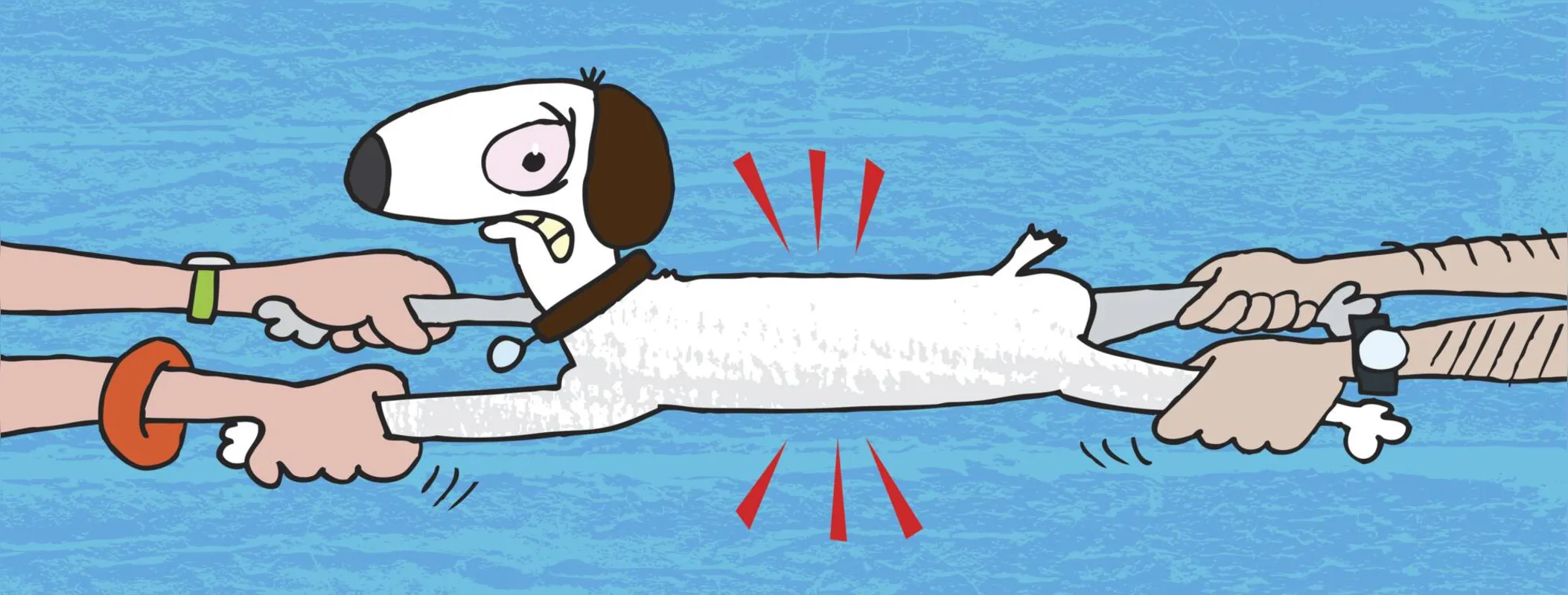 Imagem ilustrativa da imagem Separação do casal: quem fica com os animais de estimação?