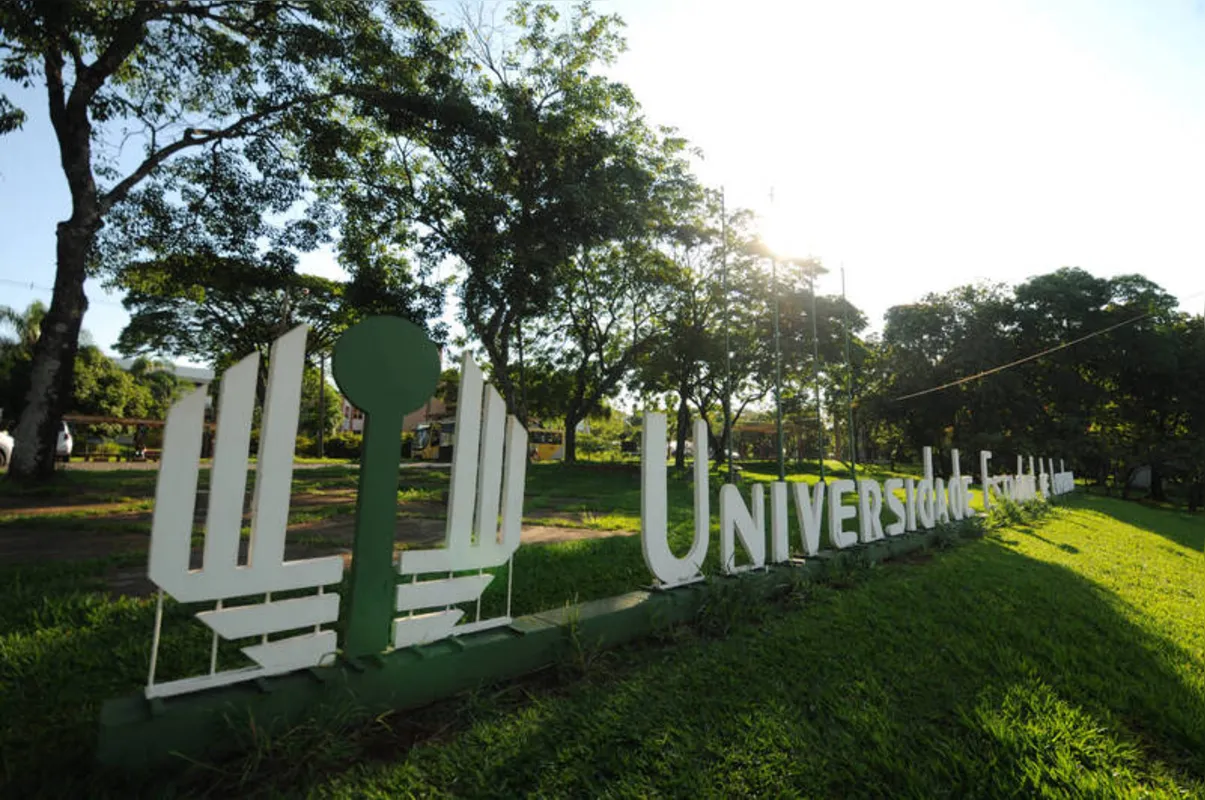 Imagem ilustrativa da imagem UEL é a primeira estadual do Paraná em ranking britânico