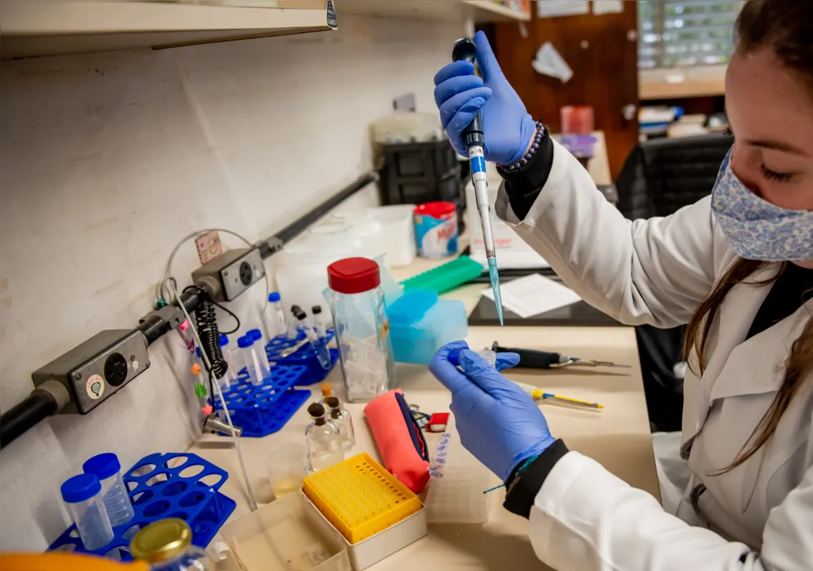 A pesquisa para o desenvolvimento do imunizante nasceu no departamento de Bioquímica da Federal do Paraná