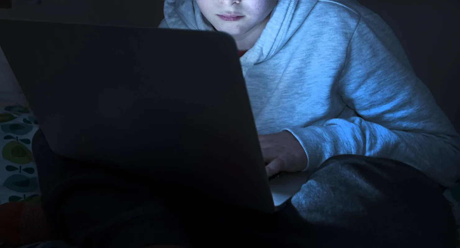 Segundo Alex Gallo, “o projeto vai avaliar os efeitos desse jogo na promoção de comportamentos que sejam preventivos de abuso e exploração sexual de crianças online” 