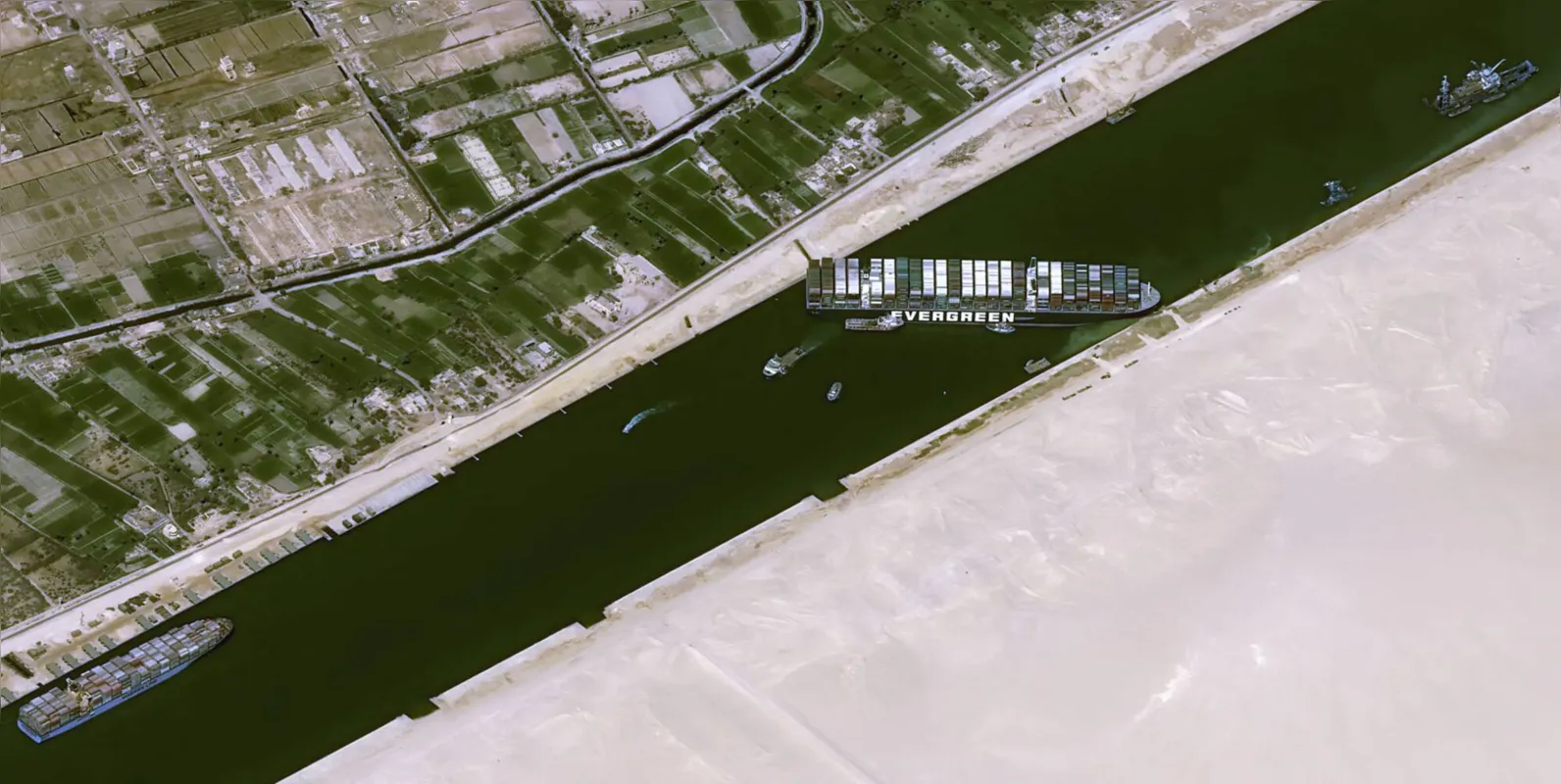 Imagem ilustrativa da imagem WhatsApp 2, golfinhos em Veneza e Canal de Suez bloqueado