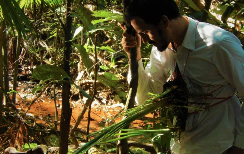 "Trans-plante": vídeo criado pelo ator londrinense Junior Romanini traz uma interferência cênica sobre a Mata Atlântica paranaense
