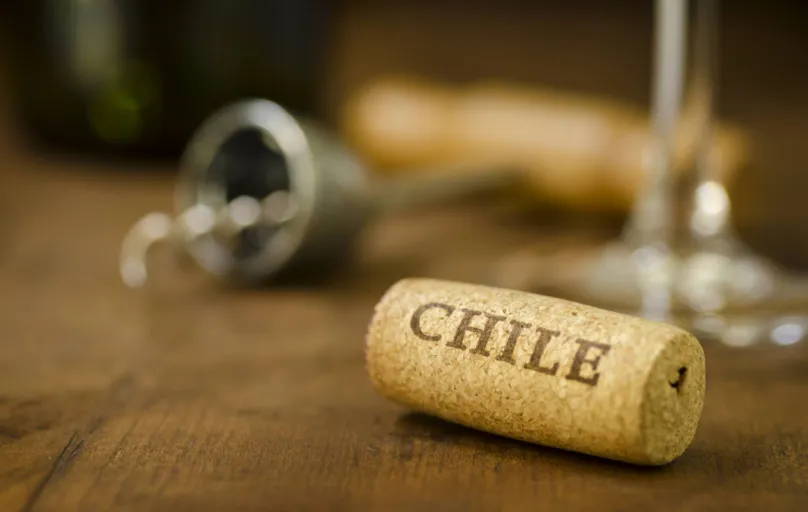 "A wine cork from Chile with a wine glass, corkscrew and wine bottle in the background.Similar Image:"