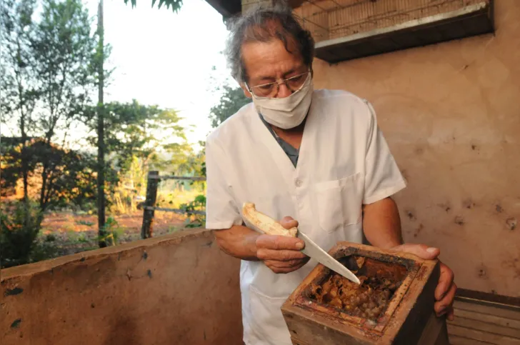 O produtor Antonio Carlos Stutz produz 6 mil quilos de mel por ano em Londrina