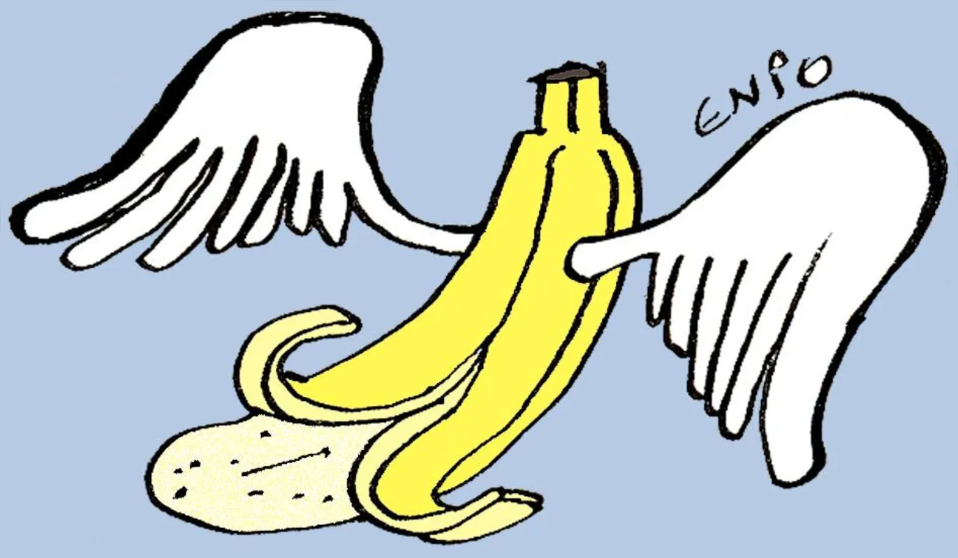 Imagem ilustrativa da imagem Avaliação de Bolsonaro deve subir, diz especialista