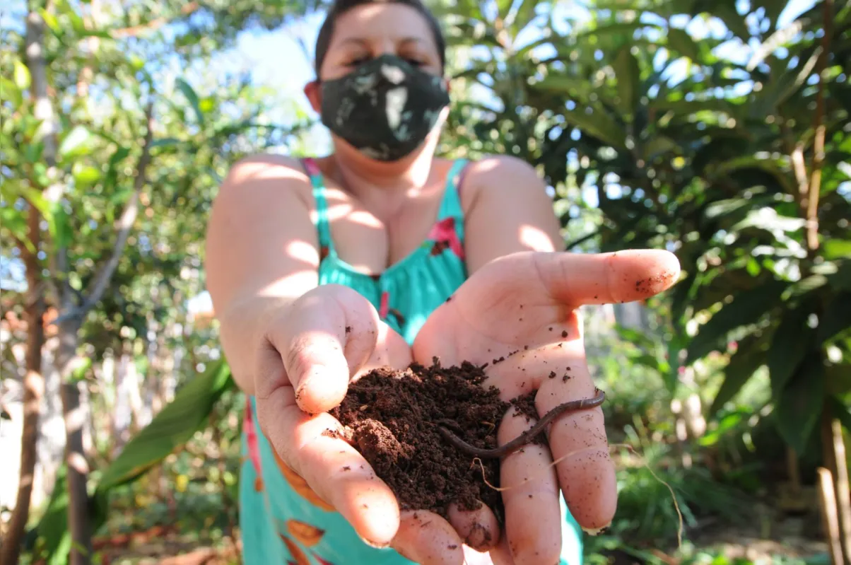 Imagem ilustrativa da imagem Compostagem pode ser alternativa econômica e eficiente de fertilização da terra