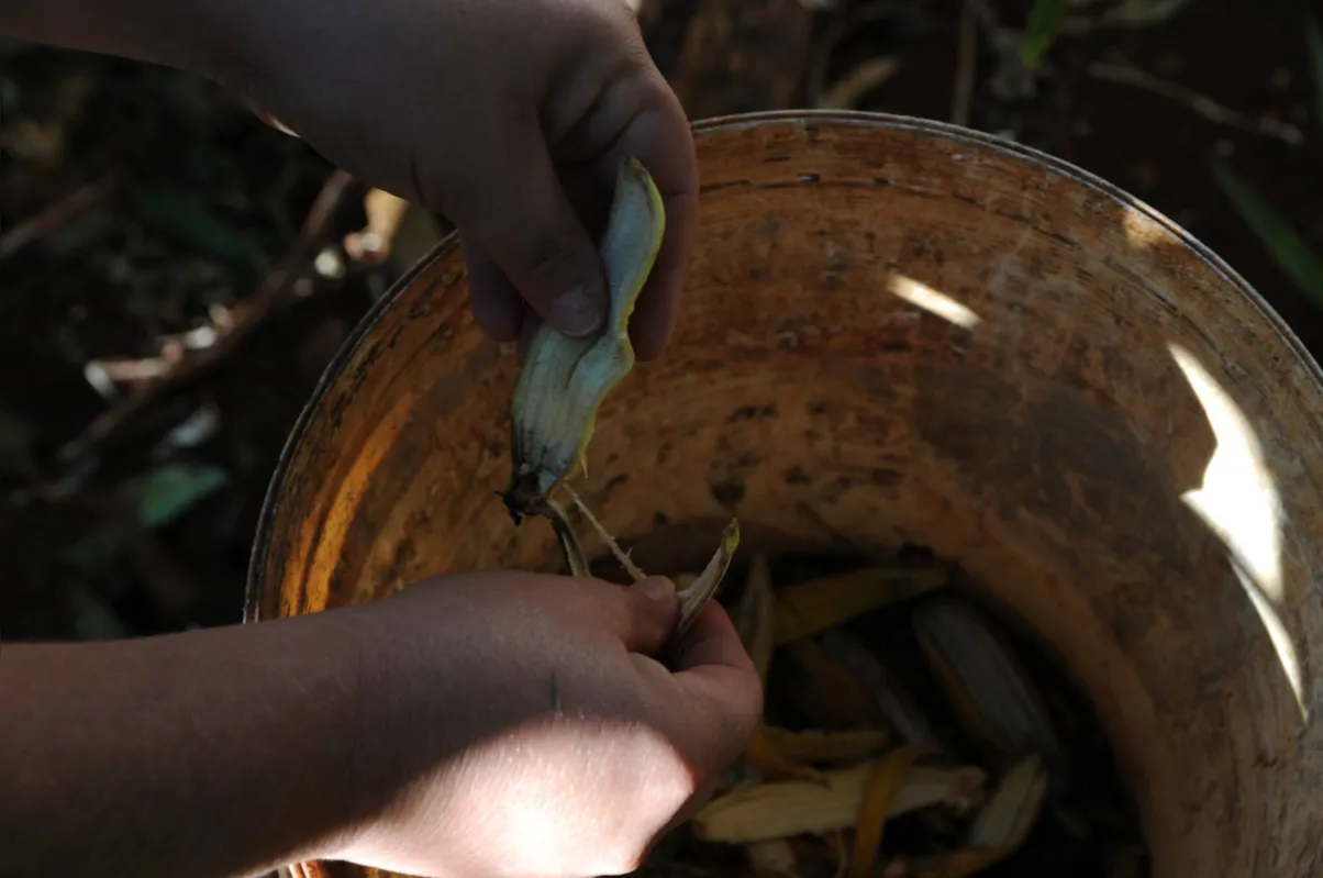 Imagem ilustrativa da imagem Compostagem pode ser alternativa econômica e eficiente de fertilização da terra