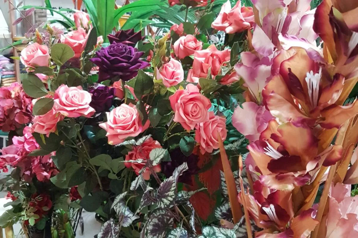 Imagem ilustrativa da imagem Datas especiais incentivam produção de rosas como atividade agrícola