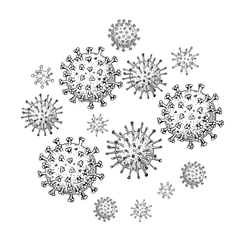 Imagem ilustrativa da imagem É falso que vacinas contribuem para o surgimento de novas variantes do coronavírus