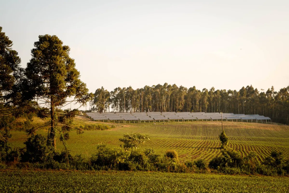 Imagem ilustrativa da imagem Estado incentiva uso de energias renováveis na agricultura