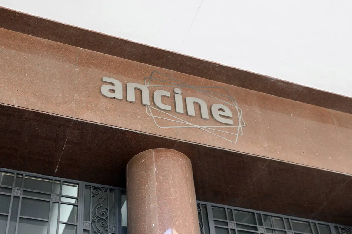 Imagem ilustrativa da imagem Governo nomeia novos chefes da Ancine, Funarte e suplente de Mario Frias