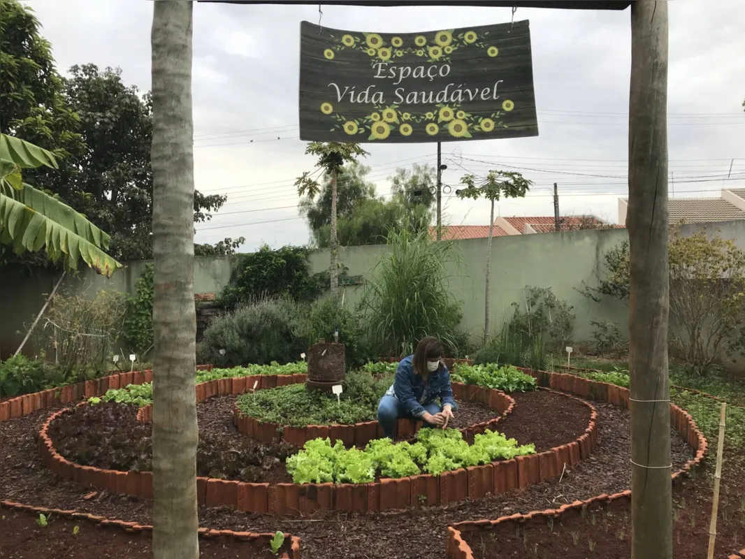 A FOLHA acompanhou o início do projeto da horta “Espaço Vida Saudável” em 2020:  iniciativa ser fortaleceu e tem gerado bons frutos