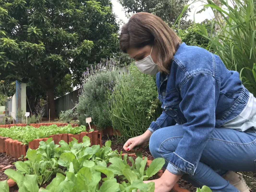 Durante a pandemia, nossa maior lição tem sido a solidariedade. Estamos todos inseridos em um momento delicado e a horta tem sido uma forma de compartilhar boas energias e mostrar que seguimos aqui”, comenta a diretora Mirna de Cássia Guilherme Gentile   