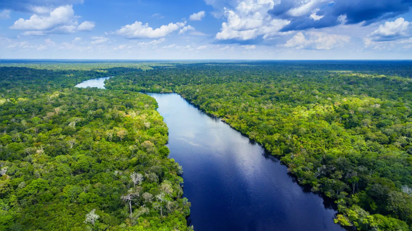Imagem ilustrativa da imagem 'Nenhum país vai dizer ao Brasil o que fazer com a Amazônia', diz Al Gore
