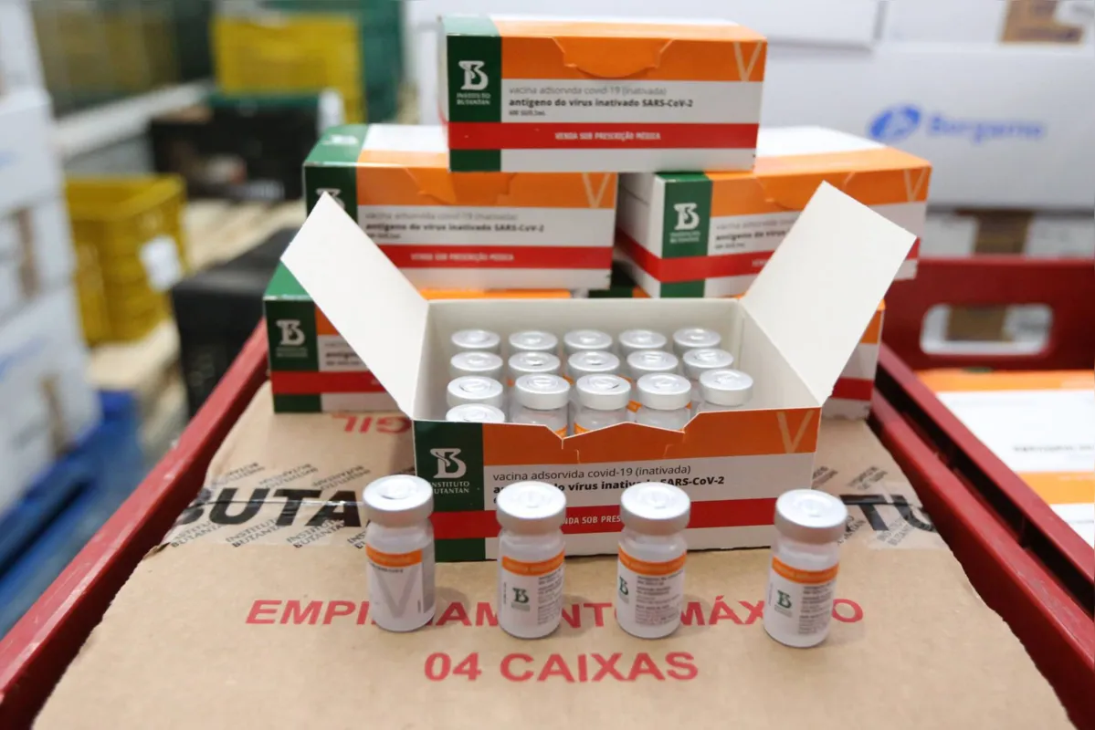 Imagem ilustrativa da imagem Paraná vai receber mais 244,8 mil doses de vacinas contra Covid-19