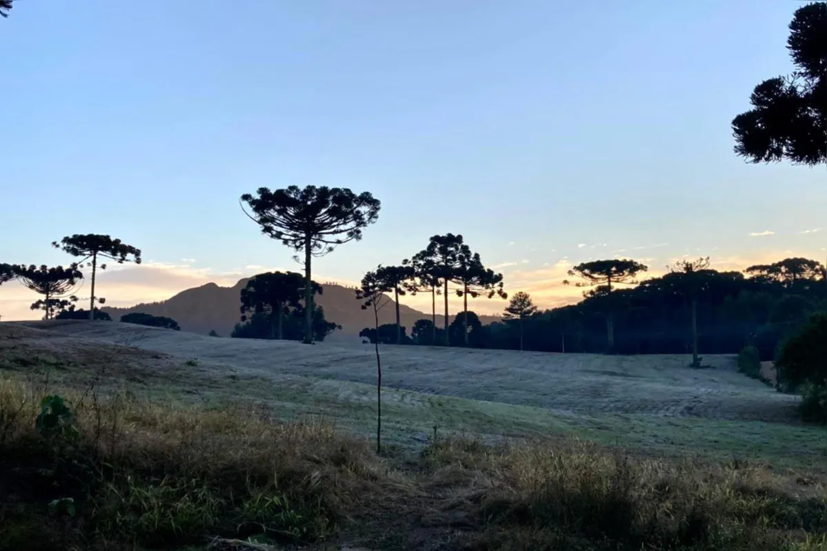 Frio, que deve se manter até quarta, é consequência de massa de ar polar seco que chegou ao Paraná no domingo