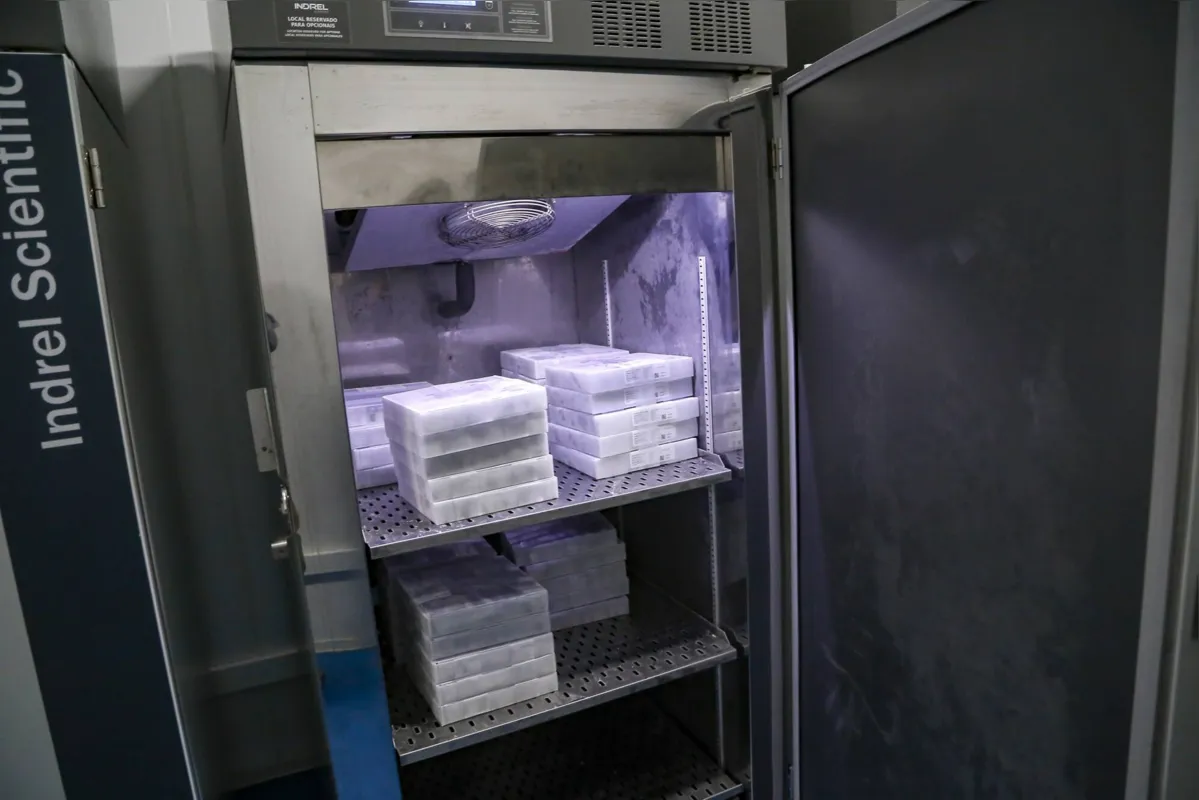 Vacinas da Pfizer serão distribuídas nesta segunda-feira (24) .